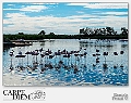 095-4504 x 3003---00303